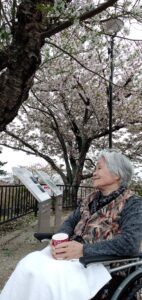 ちょっと曇り空でしたが 綺麗な桜をみることが出来ました🌸🌸🌸